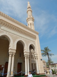 DSCN3654