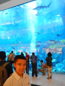 DSCN3798
