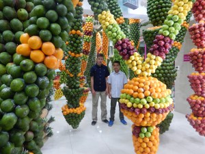 DSCN3902