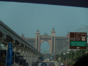 DSCN3981