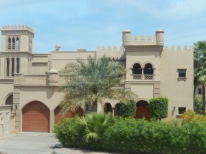 DSCN3988