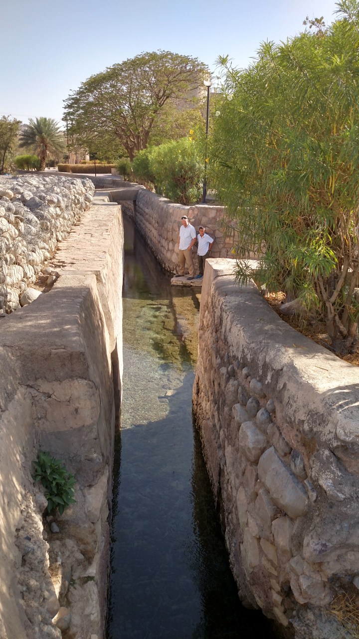 IMG_20150329_155153109_HDR